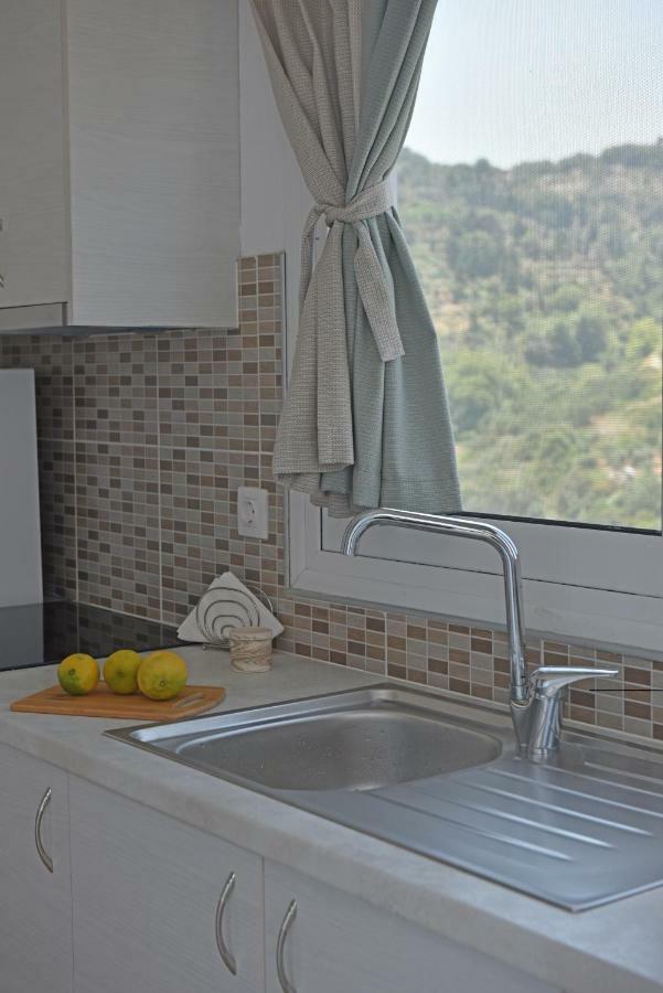 Mare Vista Villa Evdilos  Ngoại thất bức ảnh