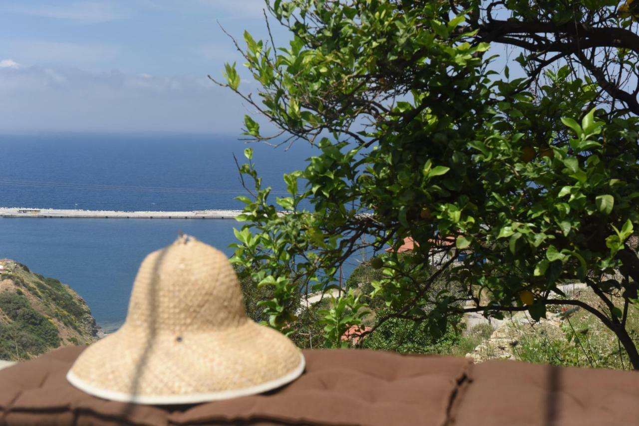 Mare Vista Villa Evdilos  Ngoại thất bức ảnh