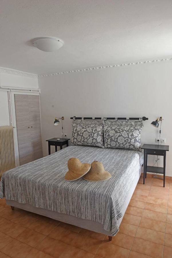 Mare Vista Villa Evdilos  Ngoại thất bức ảnh